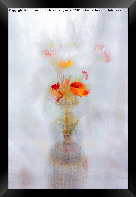 Poppy Haze Dream Framed Print by Tylie Duff Photo Art