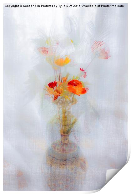 Poppy Haze Dream Print by Tylie Duff Photo Art