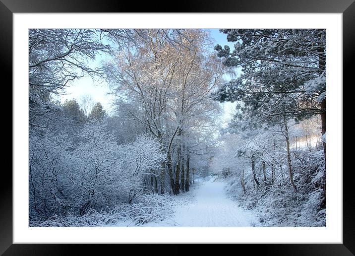 Snowy Path Framed Mounted Print by Ann Garrett