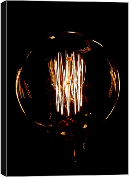 inside the lightbulb Canvas Print by Heather Newton