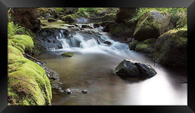  bala Framed Print by sean clifford