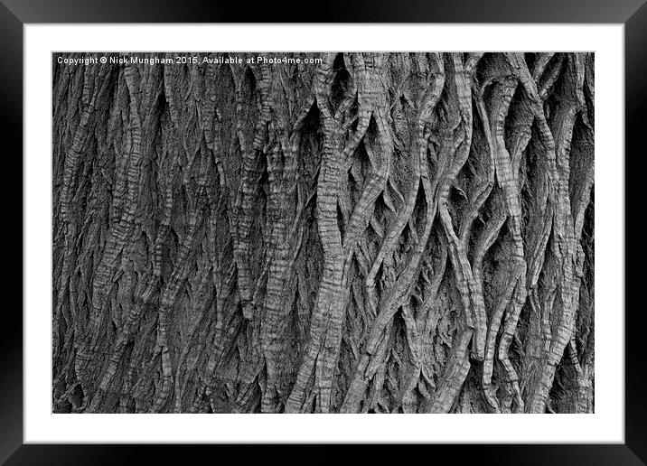  Tree Bark Framed Mounted Print by Nick Mungham
