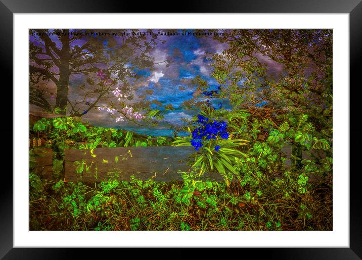  The Sea Beyond The Woods Framed Mounted Print by Tylie Duff Photo Art