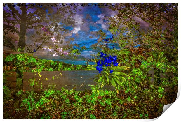  The Sea Beyond The Woods Print by Tylie Duff Photo Art