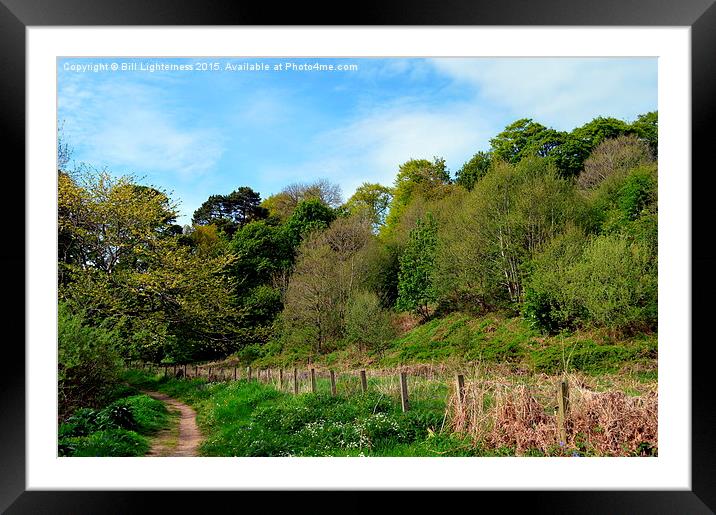  Shades of Green Framed Mounted Print by Bill Lighterness