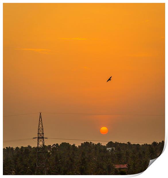  Bird in the sunset Print by Hassan Najmy