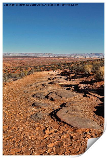 Arizona Desert Print by Matthew Bates