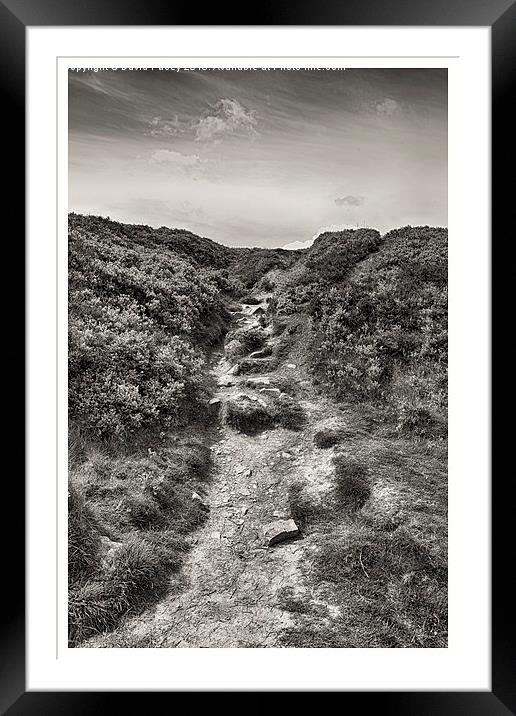   Ilkley Moor  Framed Mounted Print by David Pacey