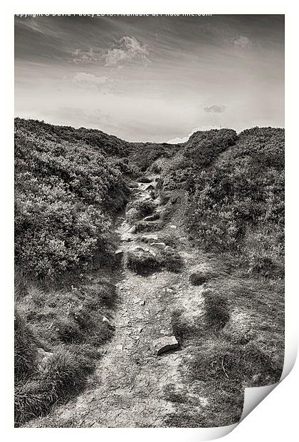  Ilkley Moor  Print by David Pacey