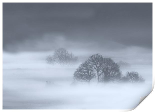 Misty Trees Print by Mike Gorton