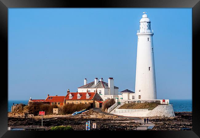  St Marys Island and Lighthouse  Framed Print by Naylor's Photography