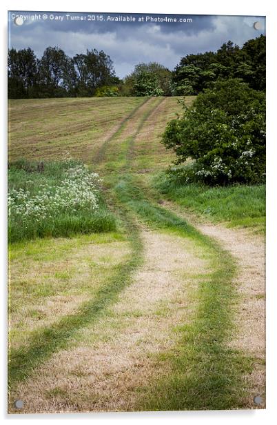 Farm Tracks Acrylic by Gary Turner