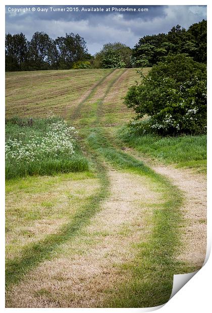 Farm Tracks Print by Gary Turner