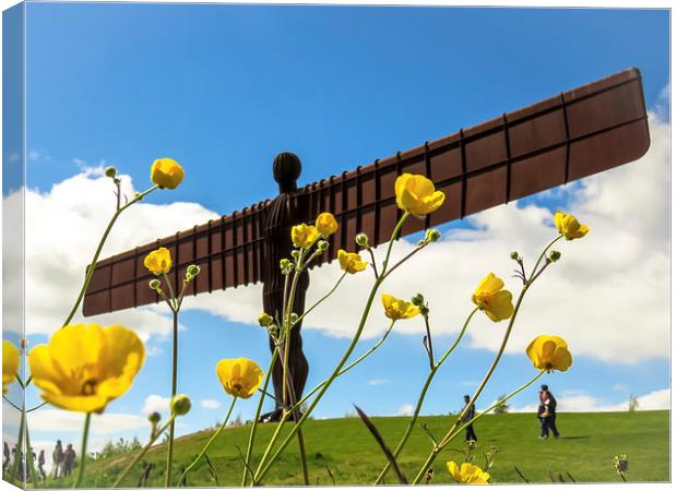  Angel of the North Buttercups Canvas Print by Helen Holmes