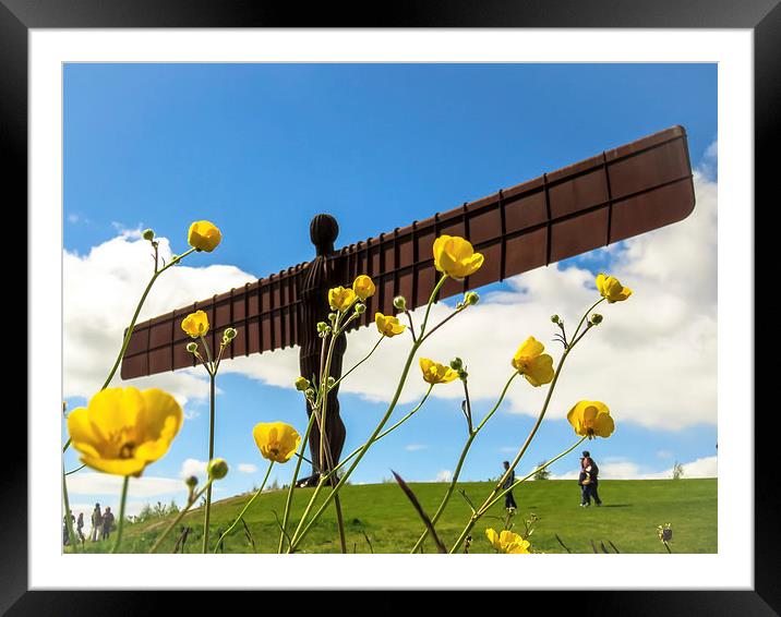  Angel of the North Buttercups Framed Mounted Print by Helen Holmes