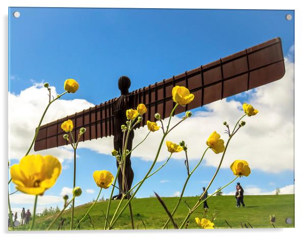  Angel of the North Buttercups Acrylic by Helen Holmes