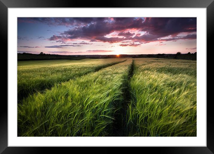  Barley fields at Sunset Framed Mounted Print by Ian Hufton