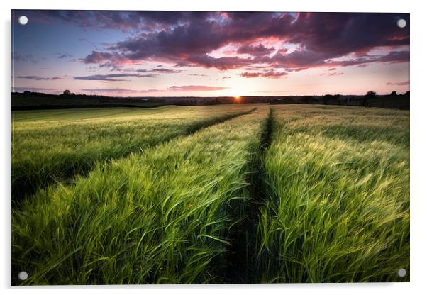  Barley fields at Sunset Acrylic by Ian Hufton