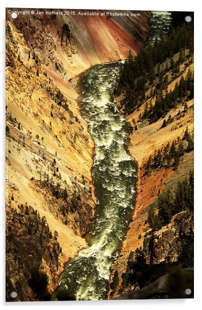  Looking down the Grand Canyon of Yellowstone, Yel Acrylic by Jan Hofheiz