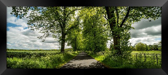 The Roman Road Framed Print by Dave Hudspeth Landscape Photography