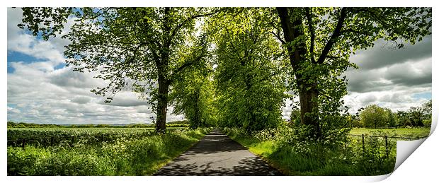 The Roman Road Print by Dave Hudspeth Landscape Photography