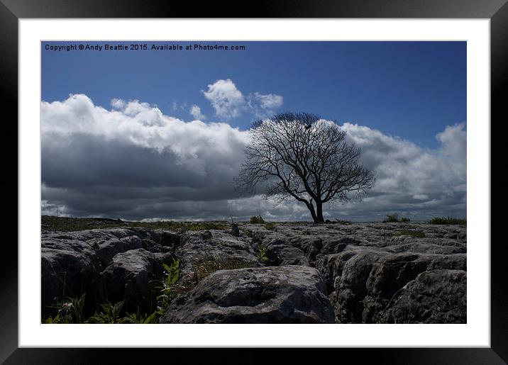Lone tree on limestone pavement Framed Mounted Print by Andy Beattie