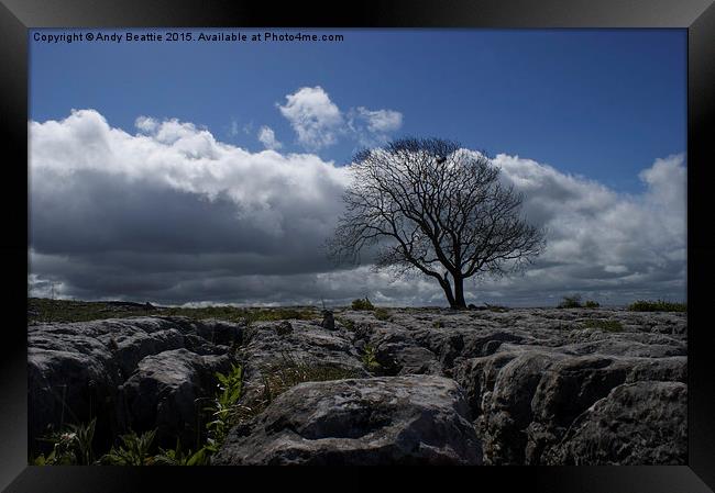 Lone tree on limestone pavement Framed Print by Andy Beattie