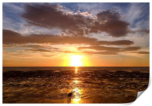   Golden glory sunset Print by Naylor's Photography