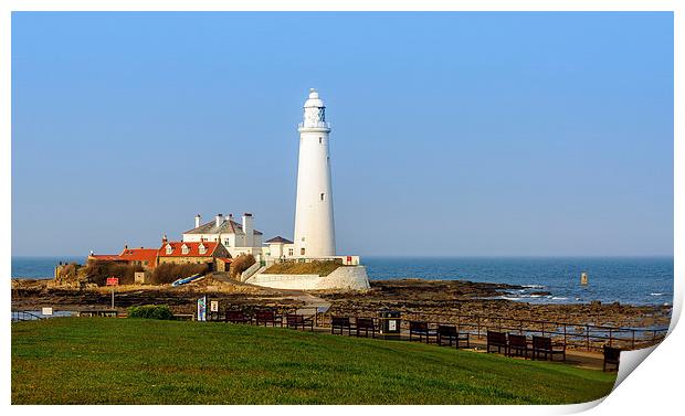  St Mary's Lighthouse Print by Naylor's Photography