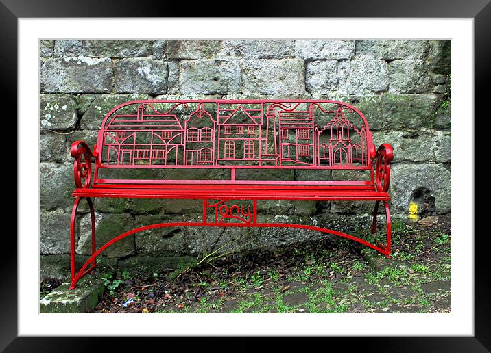 Iron Bench Framed Mounted Print by Tony Murtagh