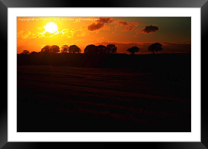  Wheat Field Sun Set Framed Mounted Print by Ian Pettman