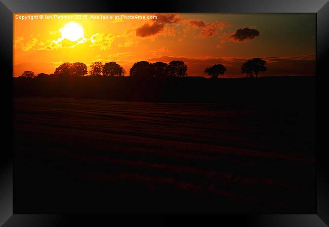  Wheat Field Sun Set Framed Print by Ian Pettman