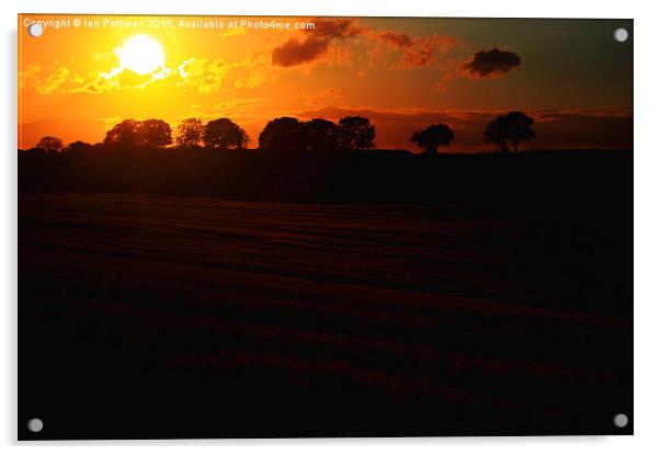  Wheat Field Sun Set Acrylic by Ian Pettman