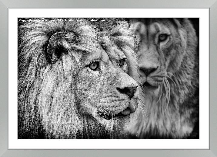 Buy Framed Mounted Prints of  His Majesty by Peter Lennon