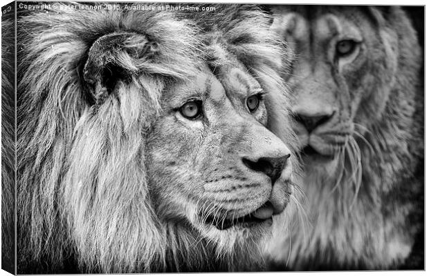  His Majesty Canvas Print by Peter Lennon