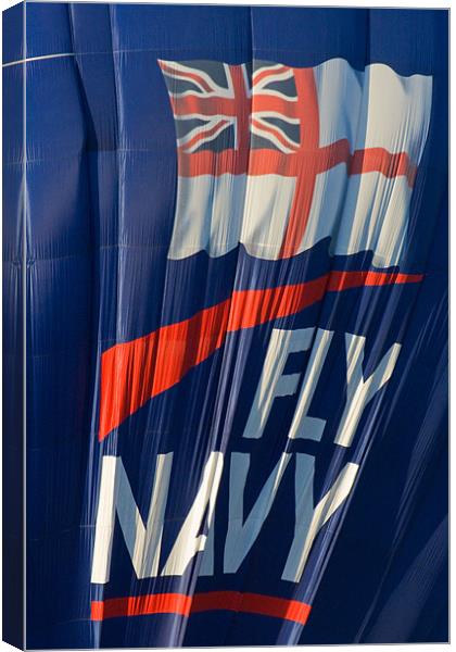 Fly Navy Canvas Print by Brian Roscorla