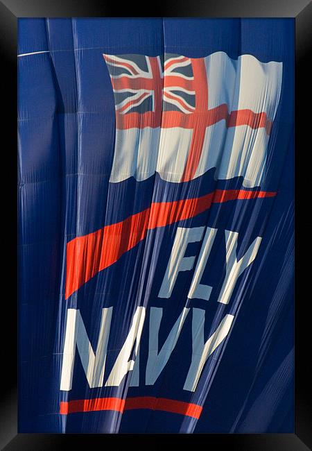 Fly Navy Framed Print by Brian Roscorla