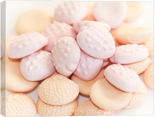  Pastel sweets Canvas Print by Svetlana Sewell