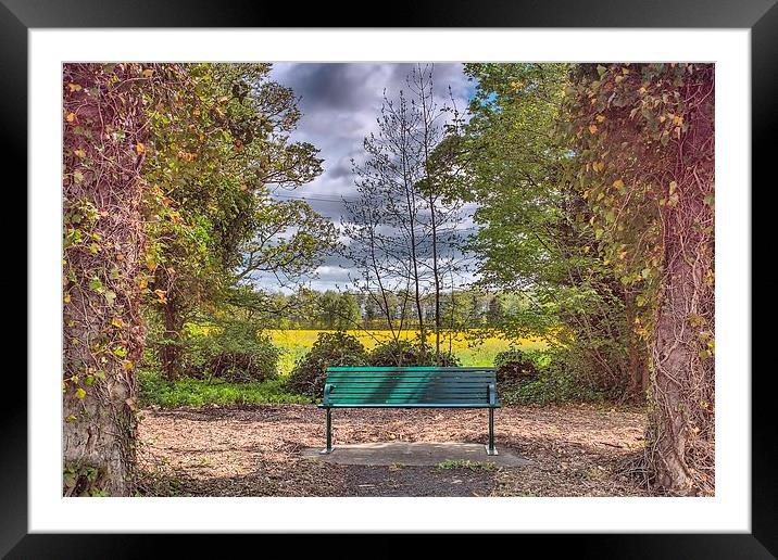  Bench Framed Mounted Print by kevin wise