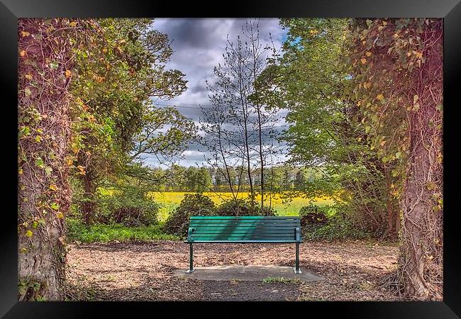  Bench Framed Print by kevin wise