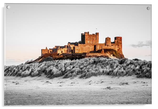 The Colourful Bamburgh Castle Acrylic by Naylor's Photography