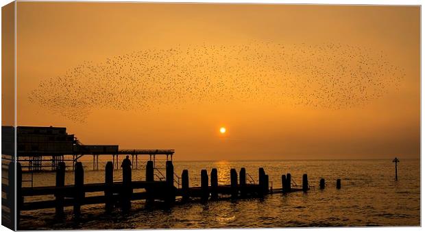   Murmuration of starlings Canvas Print by Dean Merry