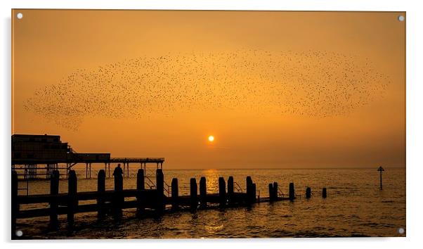   Murmuration of starlings Acrylic by Dean Merry