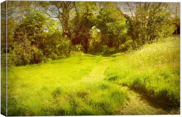  The Green Path. Canvas Print by Heather Goodwin