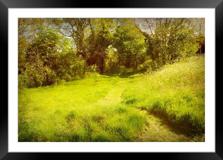  The Green Path. Framed Mounted Print by Heather Goodwin