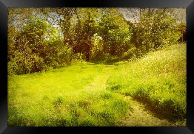  The Green Path. Framed Print by Heather Goodwin