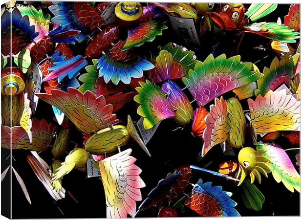  BIRDS OF PARADISE Canvas Print by Bruce Glasser