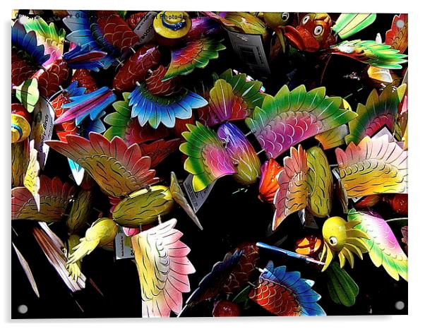  BIRDS OF PARADISE Acrylic by Bruce Glasser
