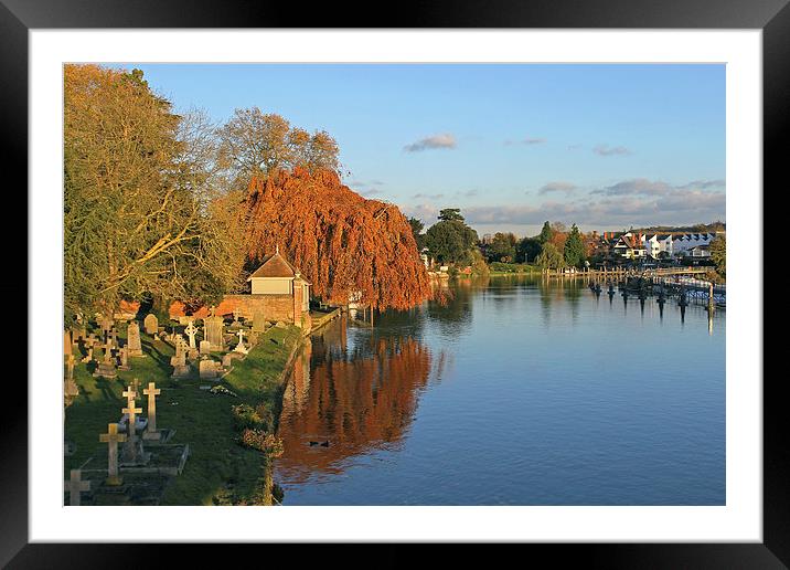 River Thames at Marlow  Framed Mounted Print by Tony Murtagh