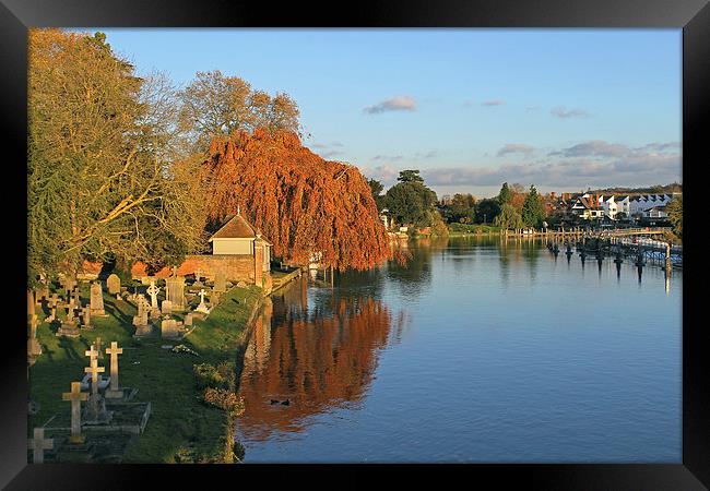 River Thames at Marlow  Framed Print by Tony Murtagh